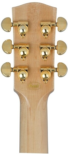 Bedell JBCE-52-G Perform Plus Jumbo Acoustic-Electric Guitar (with Gig Bag), Headstock Back