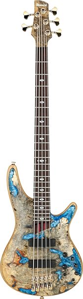 Ibanez SR2021 Prestige Limited Electric Bass, 5-String (with Case), Main