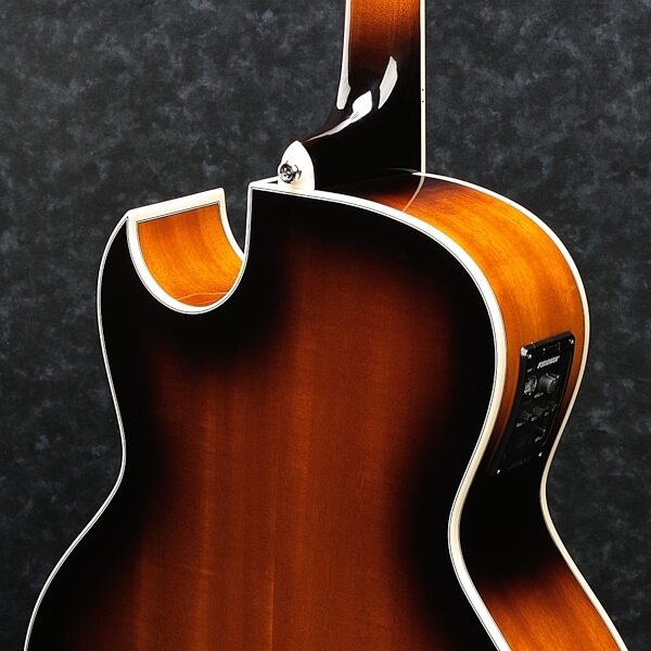 Ibanez JSA5 Joe Satriani Acoustic-Electric Guitar, Alt