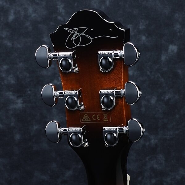 Ibanez JSA5 Joe Satriani Acoustic-Electric Guitar, Alt