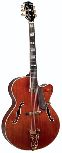 Jay Turser JT143 Hollow-Body Jazz Electric Guitar, Main