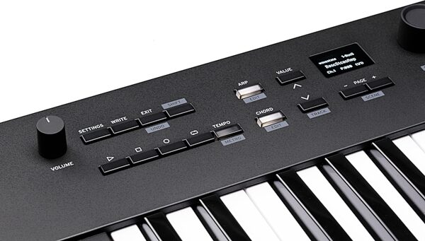 Korg Keystage 49 USB MIDI Keyboard Controller, 49-Key, New, Action Position Back