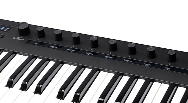Korg Keystage 61 USB MIDI Keyboard Controller, 61-Key, New, Action Position Back