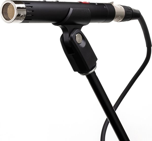 Lauten Audio LA-120 V2 Small-Diaphragm Condenser Microphone, Pair, Action Position Back