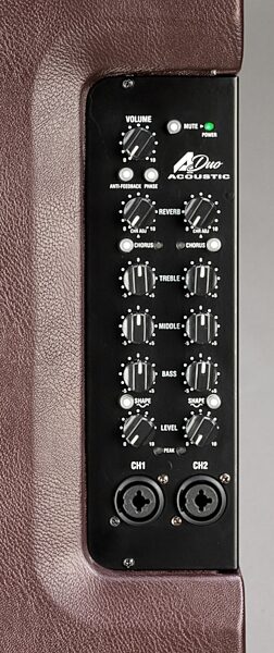 Laney A-DUO Acoustic Guitar Combo Amplifier (120 Watts, 2x8"), Blemished, Detail Control Panel