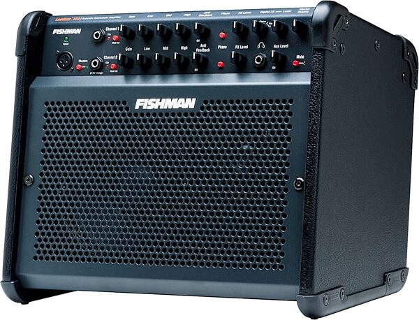 Fishman Loudbox 100 Acoustic Guitar Amplifier (100 Watts, 1x8 in.), Main