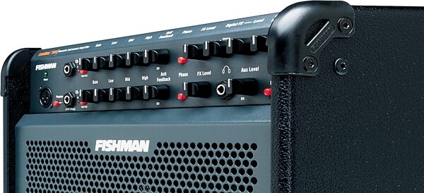 Fishman Loudbox 100 Acoustic Guitar Amplifier (100 Watts, 1x8 in.), Front Panel
