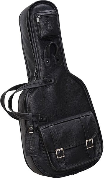 Levy's LM21 Leather Mandolin Gig Bag, Main