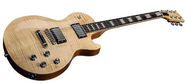 Gibson Limited Edition 2014 The Les Paul All Wood Electric Guitar (with Case), Closeup
