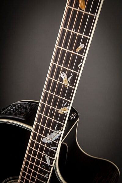 Takamine LTD2014 Cutaway Acoustic-Electric Guitar, Glamour View 5
