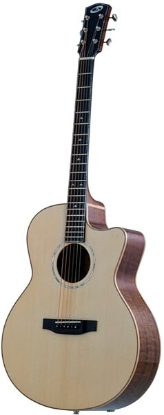 Bedell MBAC-18-G Award Orchestra Acoustic-Electric Guitar (with Gig Bag), Angle