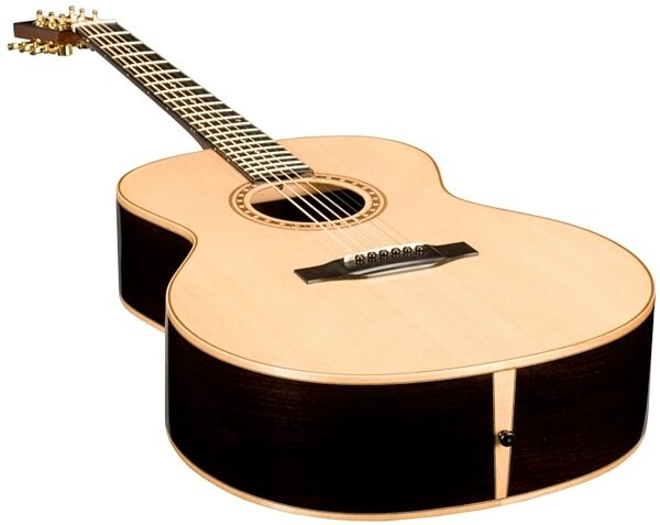 Bedell MB-28-G Perform Plus Orchestra Acoustic Guitar (with Gig Bag), Closeup