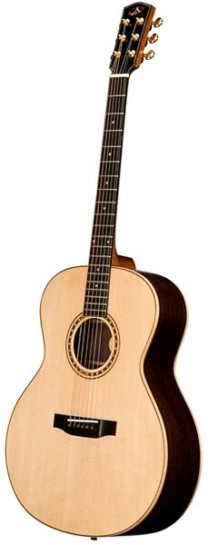 Bedell MB-28-G Perform Plus Orchestra Acoustic Guitar (with Gig Bag), Angle