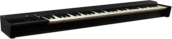 Moog 962 Duophonic 61-Key Keyboard, Black