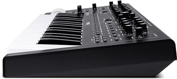 Moog Messenger Monophonic Analog Synthesizer, 32-Key, New, Action Position Back