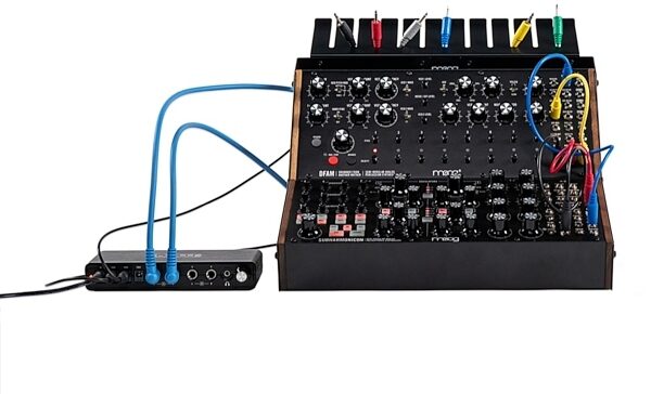 Moog Sound Studio: Subharmonicon and DFAM Bundle, view
