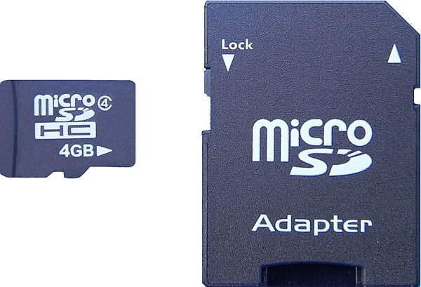 Lifetime Memory Micro-SD Micro Secure Digital Card, 4 GB