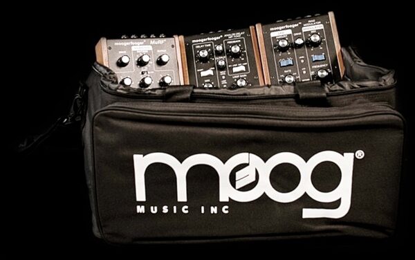 Moog Multi-Purpose Gig Bag, Main