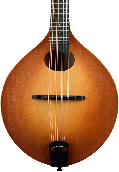 Breedlove American OO Vintage Mandolin (with Case), Front Closeup