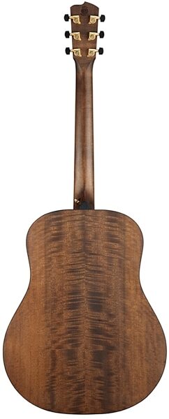 Breedlove USA Oregon Dreadnought Acoustic-Electric Guitar (with Case), Whiskey Burst Back