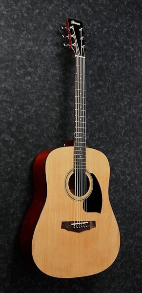 Ibanez PDR10 Performance Acoustic Guitar, Action Position Back