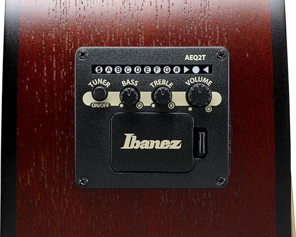 Ibanez PJ50E Acoustic-Electric Guitar, Open Pore Vintage Amber Sunburst, Action Position Back