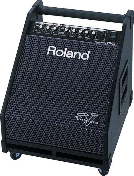 Roland PM-30 Drum Monitor, Amp