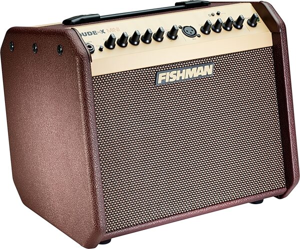 Fishman Loudbox Mini Acoustic Guitar Combo Amplifier with Bluetooth (60 Watts), New, Action Position Back