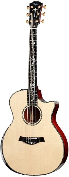 Taylor PS14ce Presentation Series Acoustic-Electric Guitar (with Case), Main
