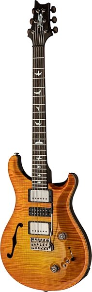 PRS Paul Reed Smith Private Stock Special Semi-Hollow Limited Edition Electric Guitar (with Case), Action Position Back