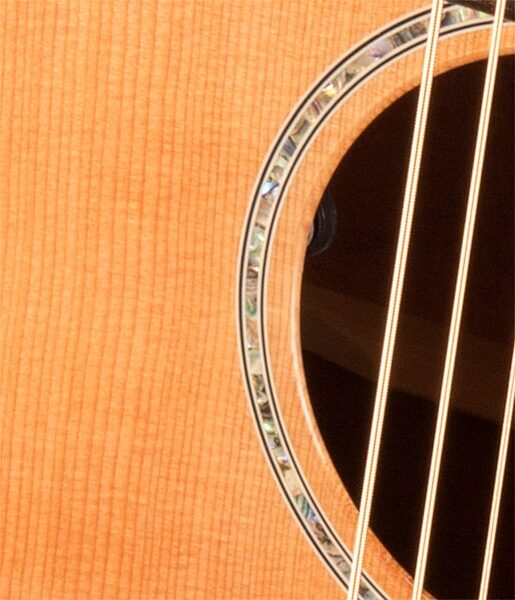 Breedlove Pursuit Dreadnought Concerto CE Acoustic-Electric Guitar (with Gig Bag), AlternateView