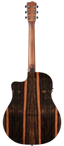 Breedlove Pursuit Dreadnought Ebony Acoustic-Electric Guitar (with Gig Bag), Back