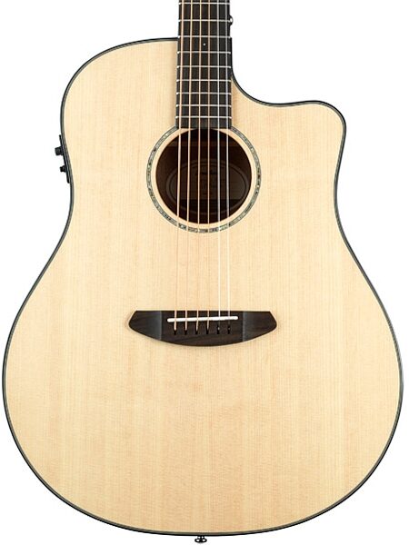 Breedlove Pursuit Dreadnought Acoustic-Electric Guitar (with Gig Bag), Body Front