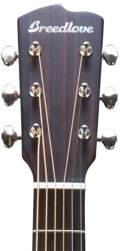 Breedlove Pursuit Dreadnought Acoustic-Electric Guitar (with Gig Bag), Headstock - Front
