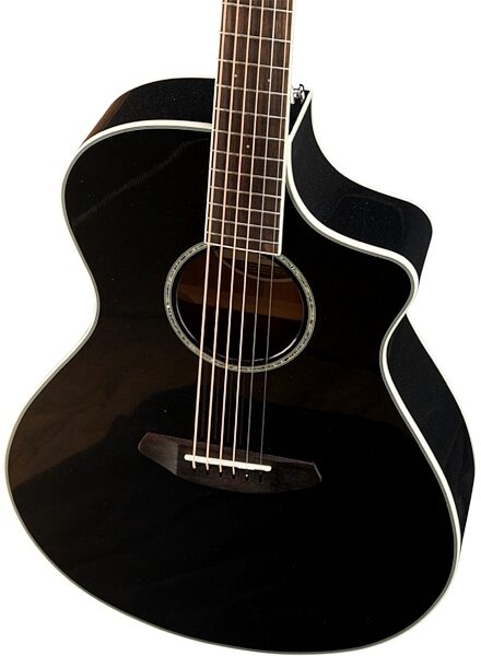 Breedlove Limited Edition Pursuit Concert Acoustic-Electric Guitar (with Gig Bag), Spruce View 1