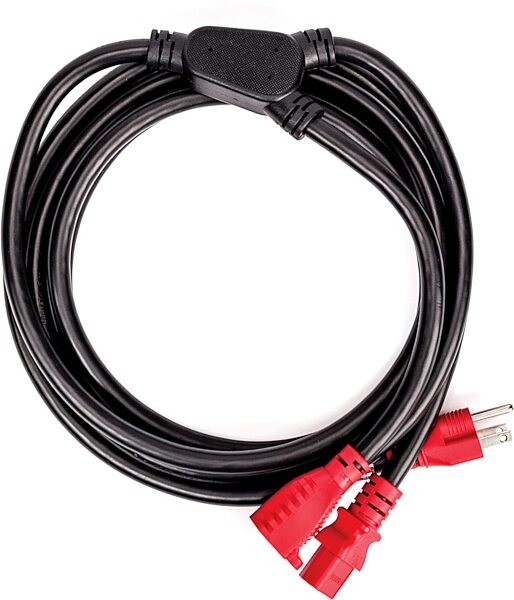 D'Addario PW-IECPB-10 Power Cable Plus, 10 foot, Action Position Back