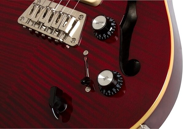 Epiphone Blueshawk Deluxe Electric Guitar, Wine Red Controls