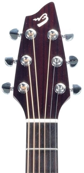 Breedlove Passport Plus C250/SFe Acoustic-Electric Guitar (with Gig Bag), Headstock