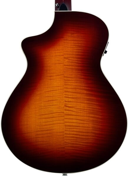 Breedlove Passport Plus C250/SFe Acoustic-Electric Guitar (with Gig Bag), Back Closeup