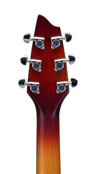 Breedlove Passport Plus C250/SFe Acoustic-Electric Guitar (with Gig Bag), Headstock Back