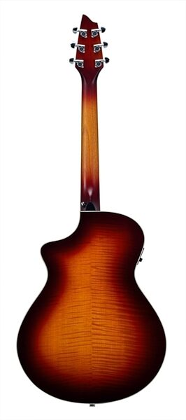 Breedlove Passport Plus C250/SFe Acoustic-Electric Guitar (with Gig Bag), Back