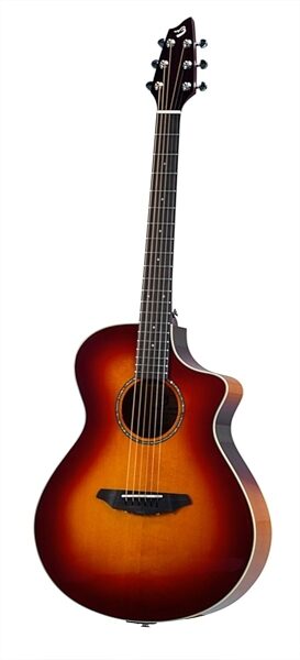 Breedlove Passport Plus C250/SFe Acoustic-Electric Guitar (with Gig Bag), Main