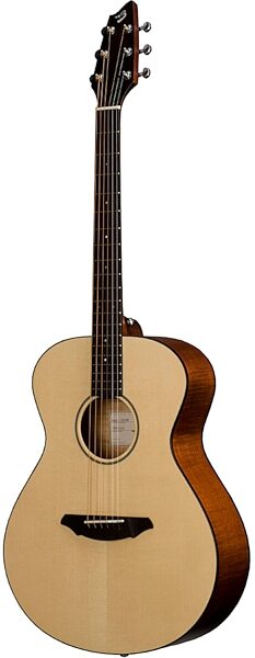 Breedlove Passport C200/SMP Acoustic Guitar with Gig Bag, Main