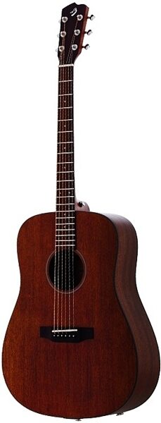 Breedlove Passport D/MME Acoustic-Electric Guitar with Gig Bag, Main