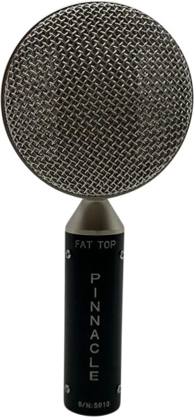 Pinnacle Microphones Fat Top Ribbon Microphone Pair, Black, Action Position Back