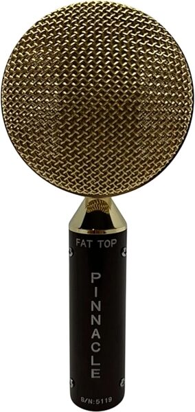Pinnacle Microphones Fat Top Ribbon Microphone Pair, Brown, Action Position Back