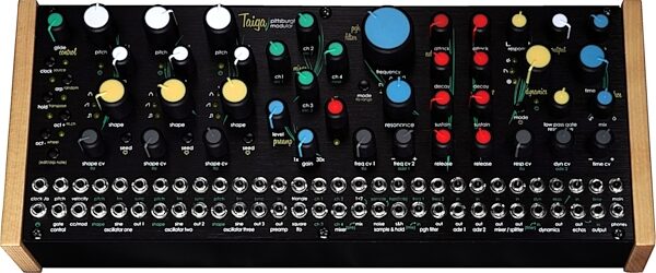 Pittsburgh Modular Taiga Paraphonic Analog Synthesizer, New, Action Position Back