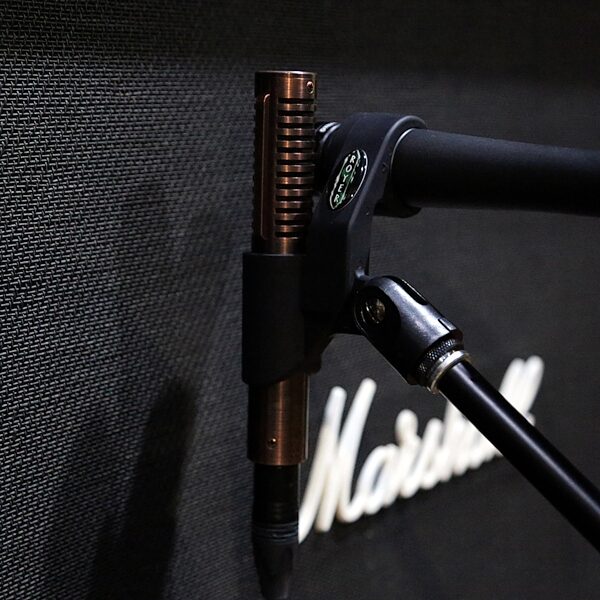 Royer Labs R-121 25th Anniversary Limited Edition Dynamic Passive Ribbon Microphone, Pair, Action Position Back