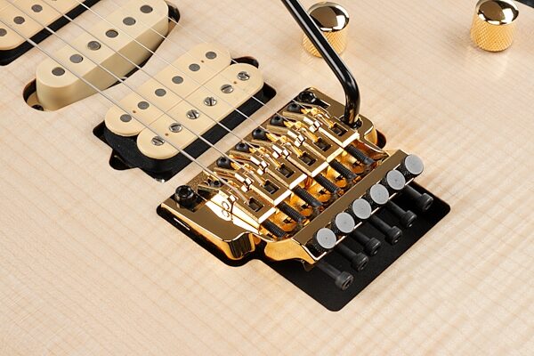 Ibanez RG1070FM Premium Electric Guitar (with Gig Bag), Detail Front