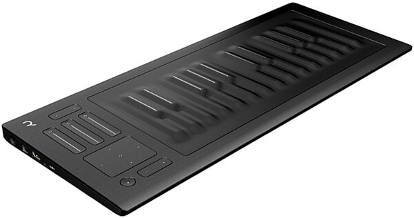 ROLI Seaboard RISE 25 USB MIDI Keyboard Controller, 25-Key, Angle 2